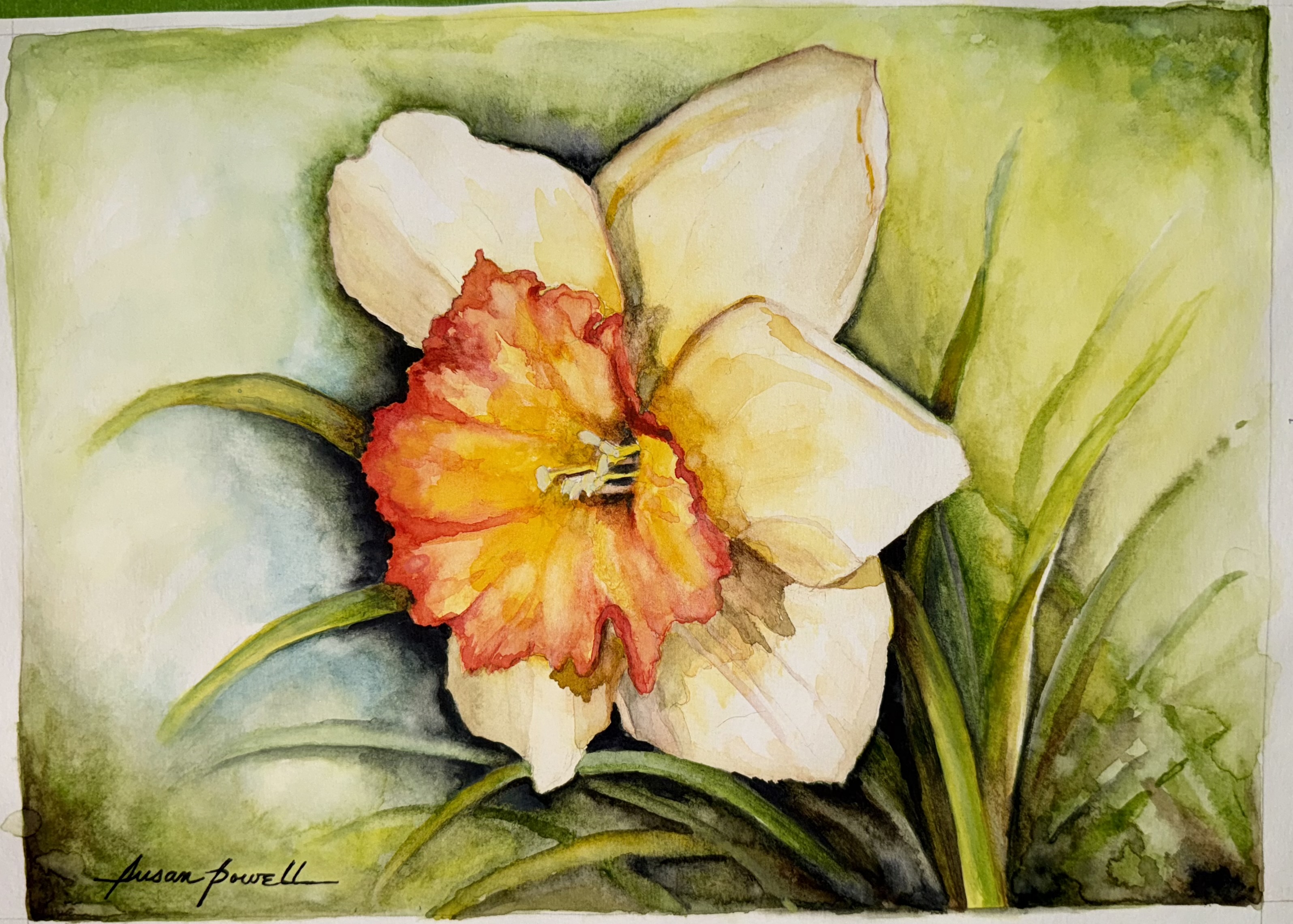 Daffodil by Susan Part